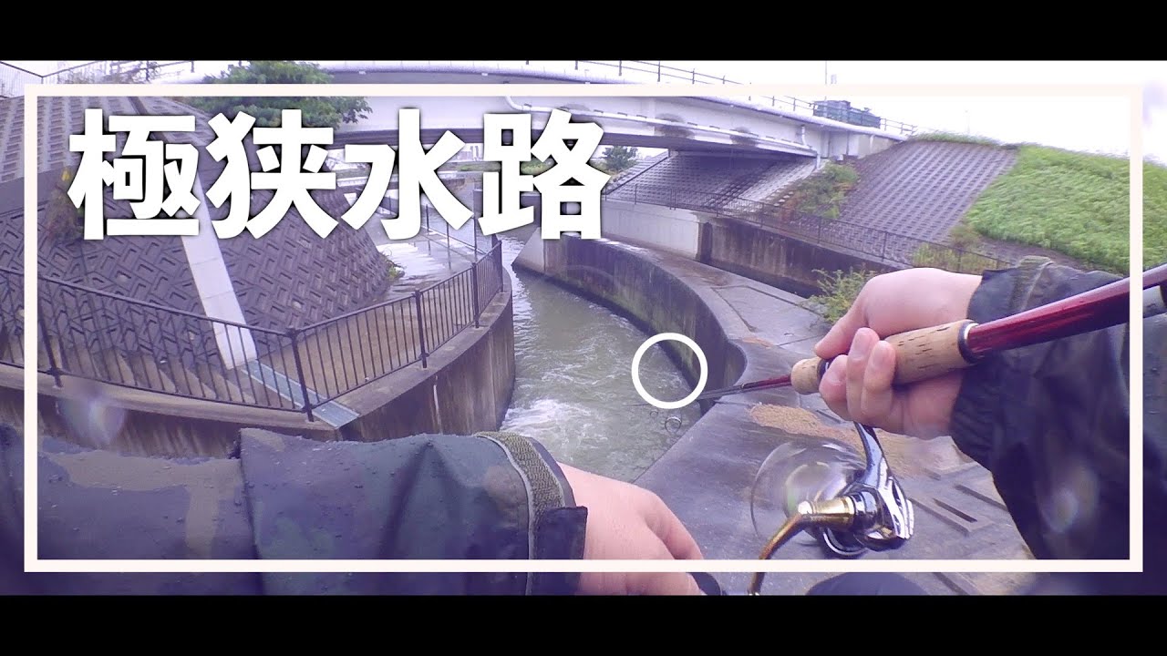 条件を満たしていたので王道通り壁際を責めると・・【シーバス】【釣り】