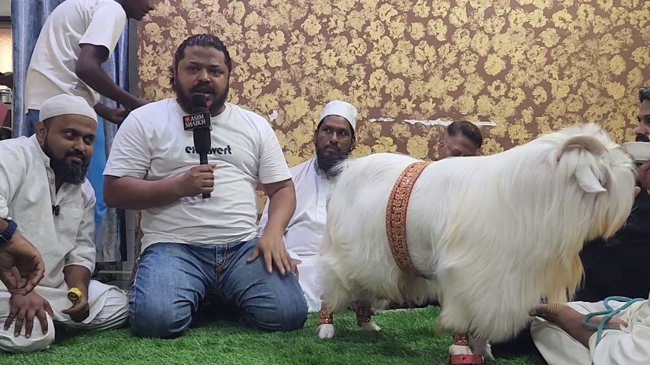 Launching India's Longest Bantam | Shahfazal Bhai Ke Nakaabposh Series | The King Of Bantam Goats.