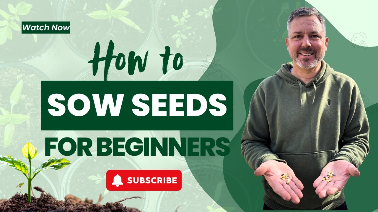 How to Sow Seeds for Beginners