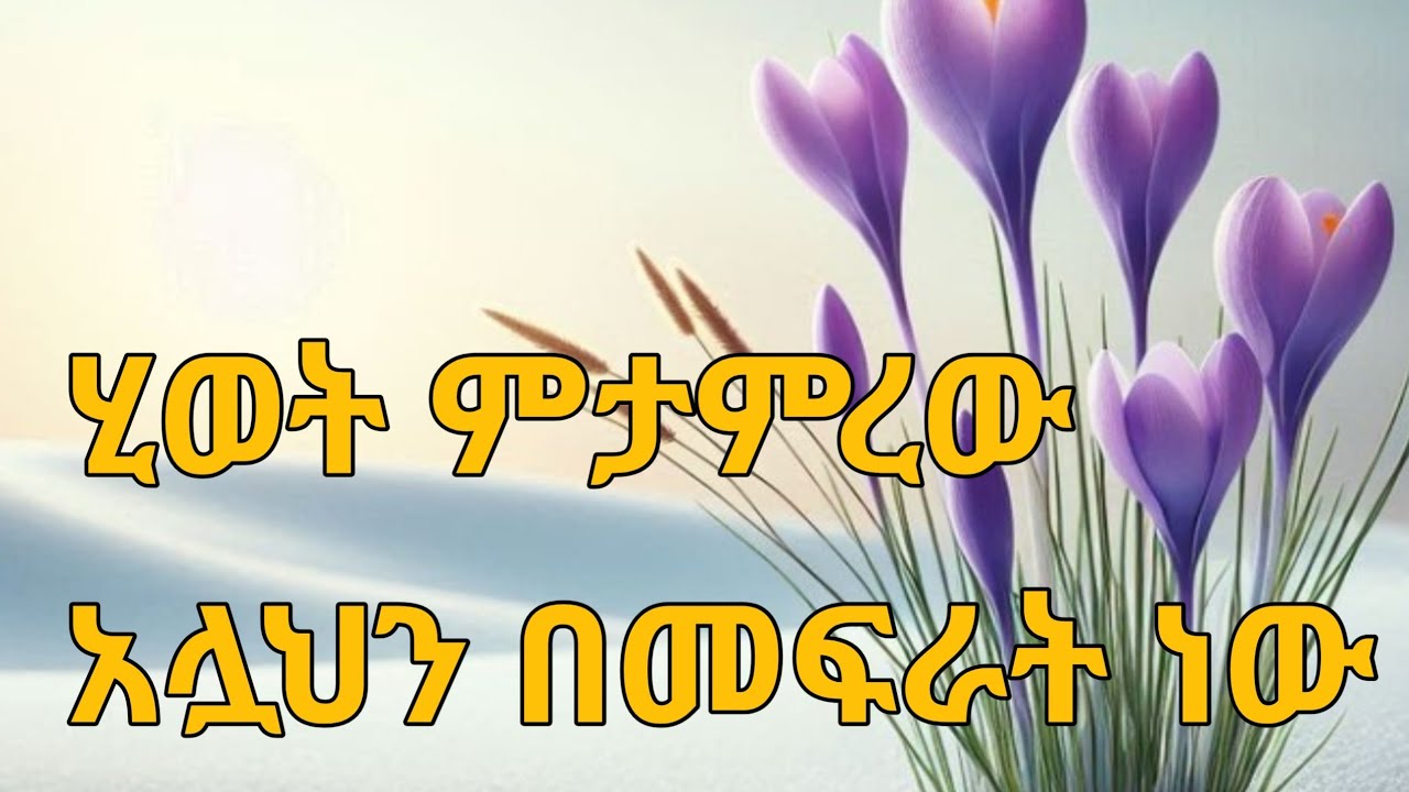 ሂወት ምታምረው አሏህን በመፍራት ነው