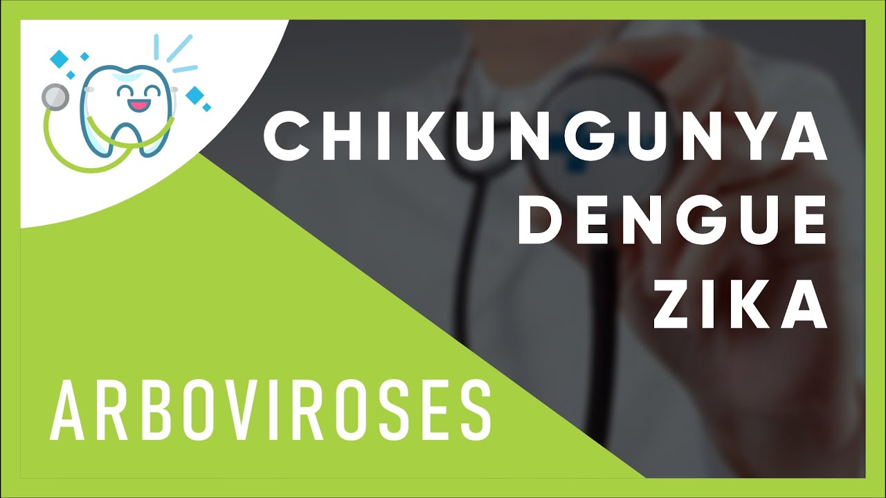 ARBOVIROSES