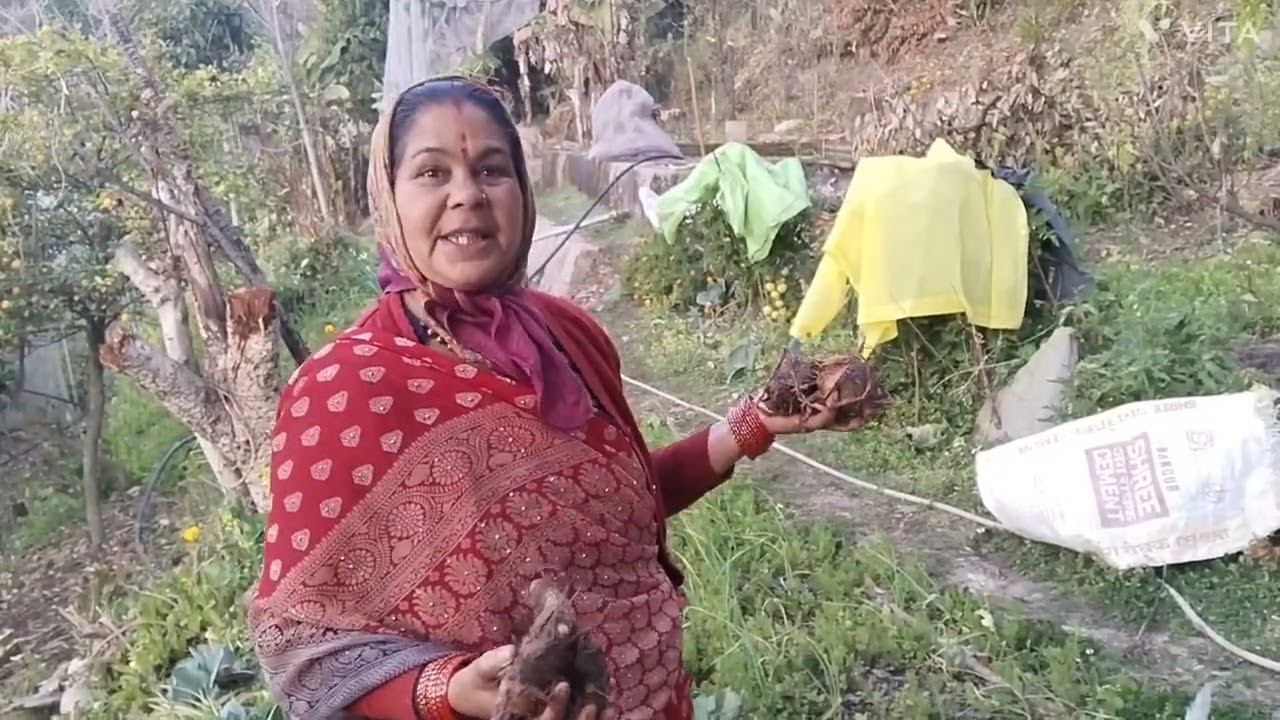 अब बदल रही हैं गांव पहाड़ की दिनचर्या 