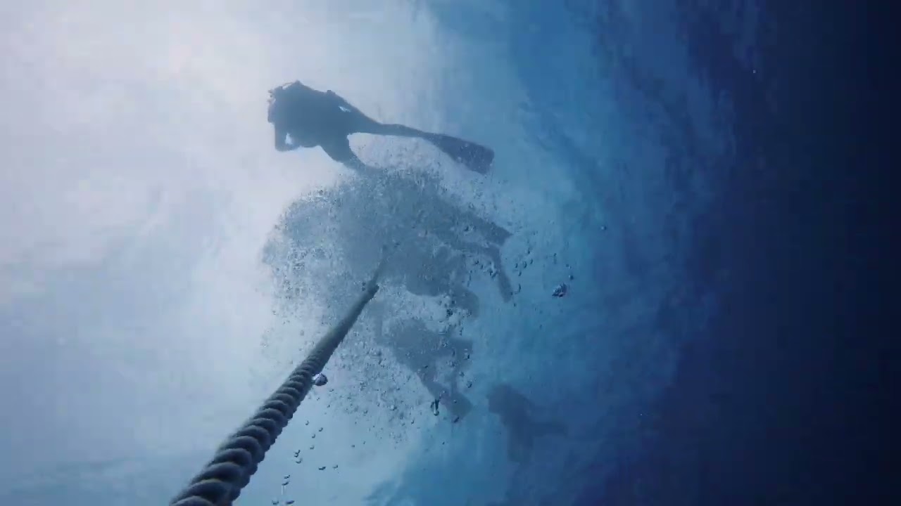 PADI Open Water Diver Certification Weekend Highlights - Rainbow Reef Dive Center - KEY LARGO