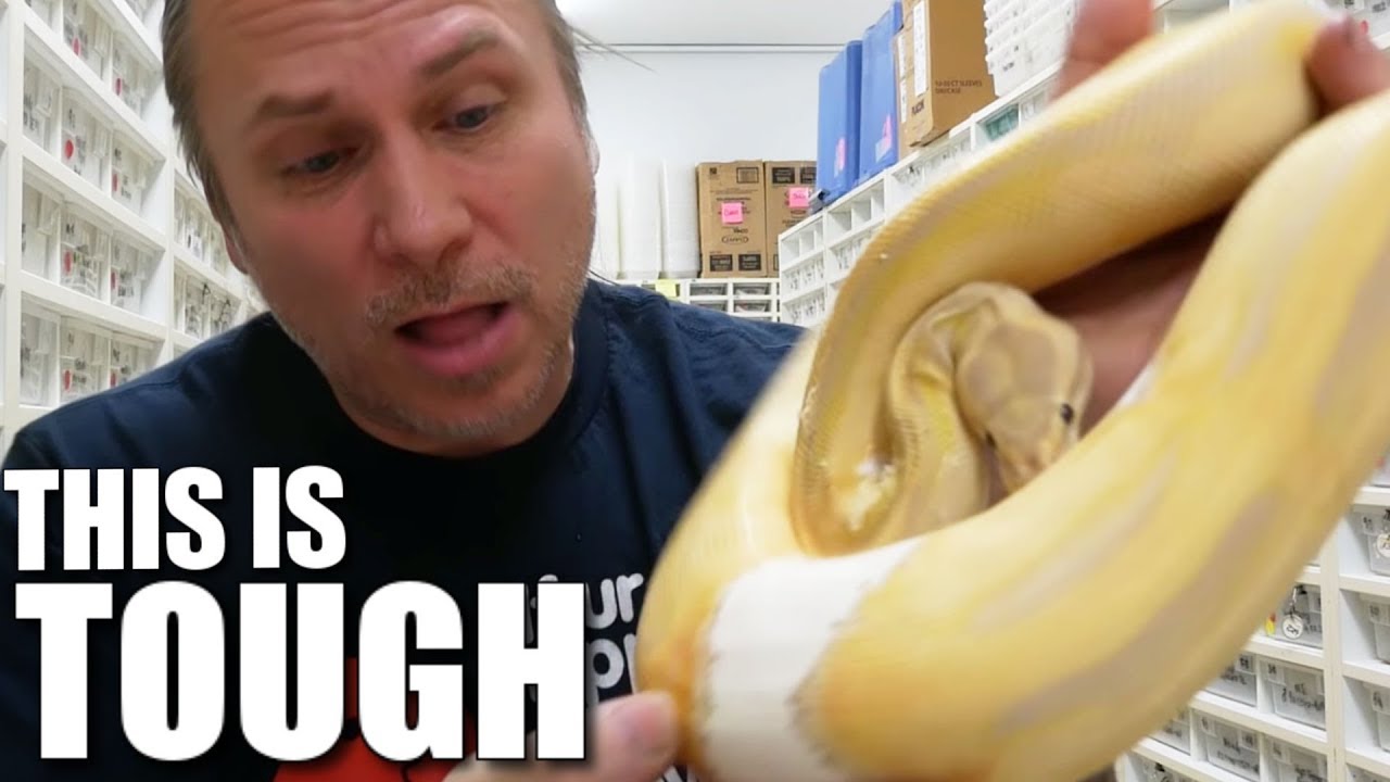 MY FRIEND PASSED AWAY-UNBOXING HIS SNAKE COLLECTION | BRIAN BARCZYK