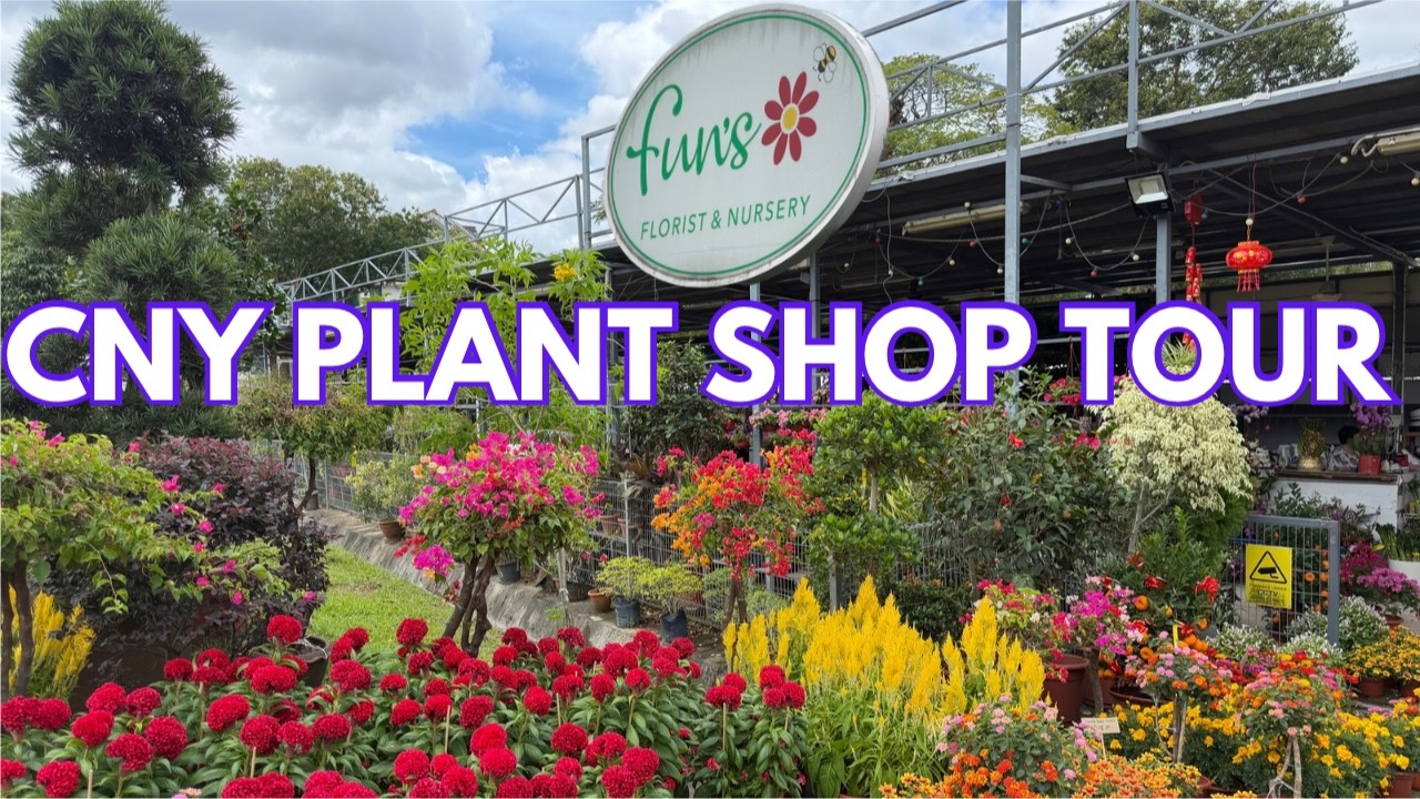 🧧Fun’s Florist And Nursery Plant Shop Tour | Chinese New Year Festive Plants Shopping