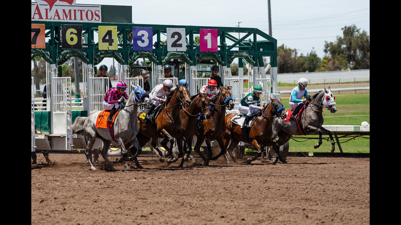 Los Alamitos Daytime Full Card Action - Friday, September 18
