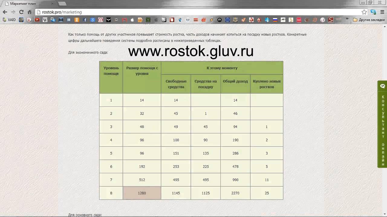 Маркетинг проекта Росток