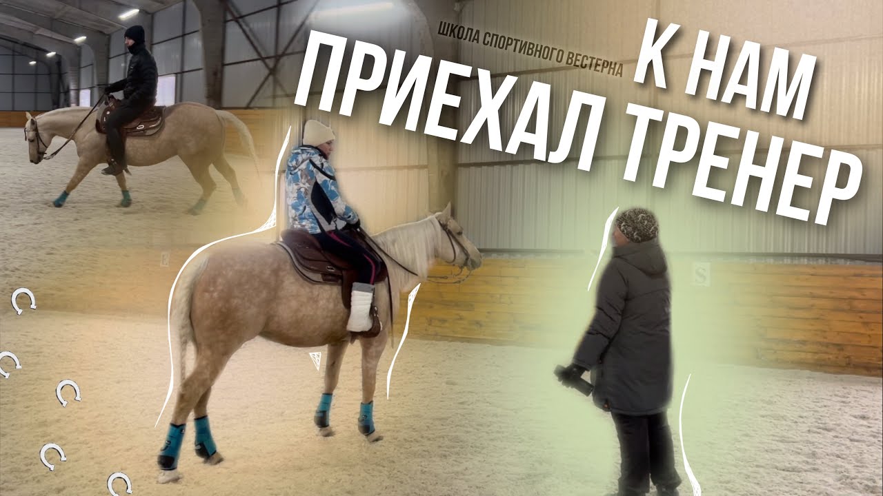 Вызвали тренера из Школы спортивного вестерна | Работа над ошибками