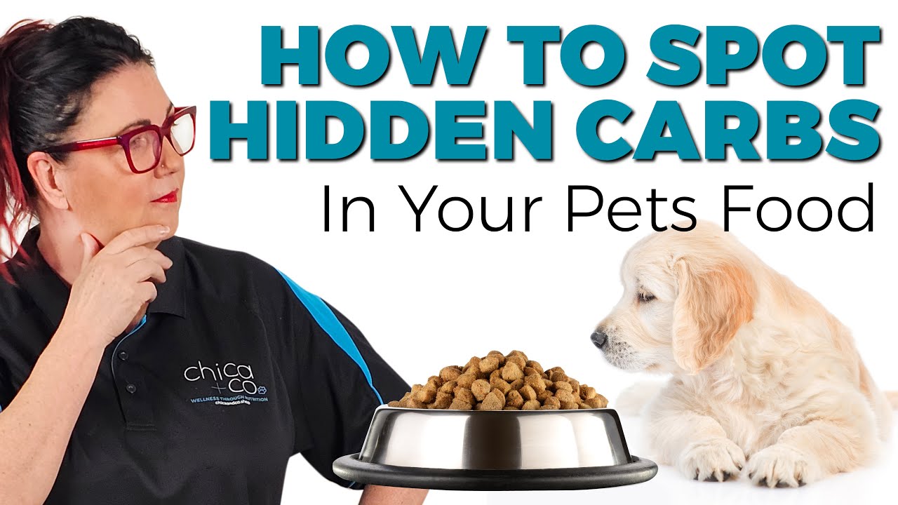 Hidden Carbs in Your Pet’s Food!