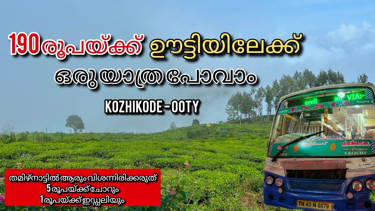 KOZHIKODE TO OOTY BUS TRIP | 190 രൂപയ്ക്ക് ബസ്സിൽ ഊട്ടിയിൽ പോവാം 😍 | TNSTC | KSRTC BUS YATHRA | OOTY