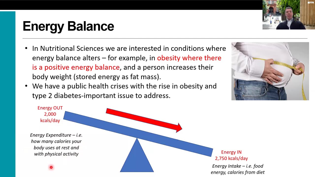 Nutrition and Medical Sciences BSc Taster Session – How Can Nutritional Science Improve Health?
