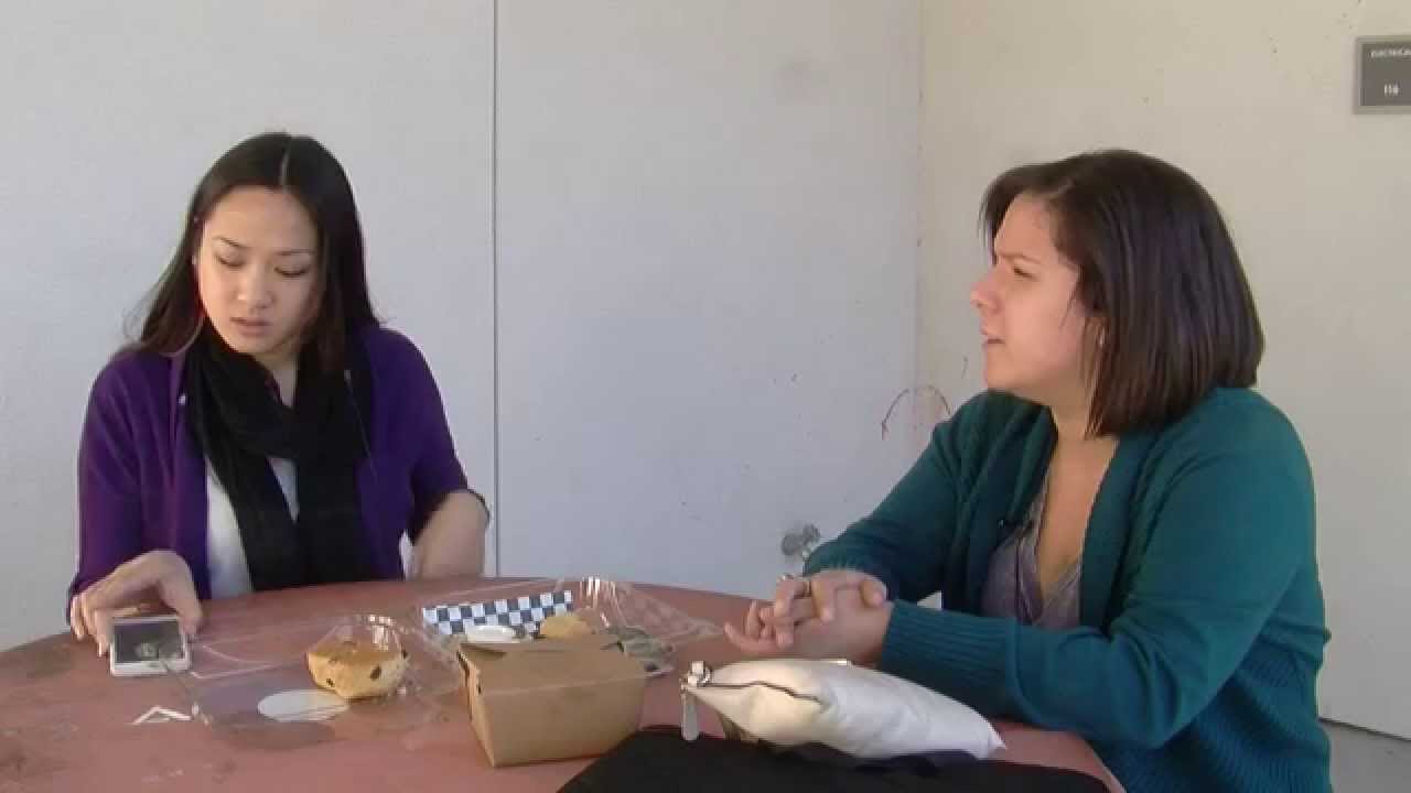 AttributionTheory Example Video