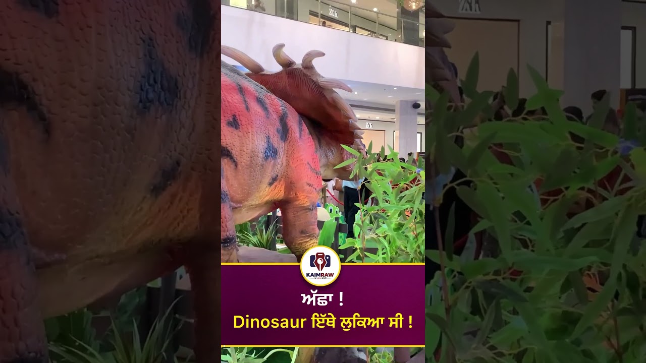 Labh gea Dinosaur #dinosaur #jurrassicpark #chandigarh #kids #youtubeshorts #punskaimraw