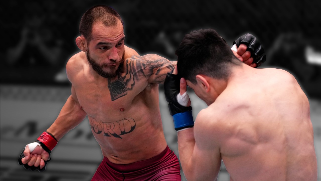 GREAT FIGHTS FROM DANA WHITE'S CONTENDER SERIES | 2022 - 2025