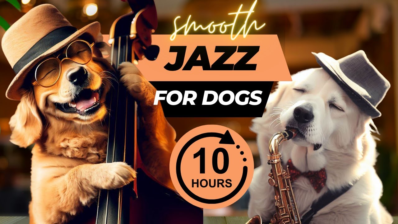 Relaxing Jazz Music for Dogs and Puppies (10 Hours)