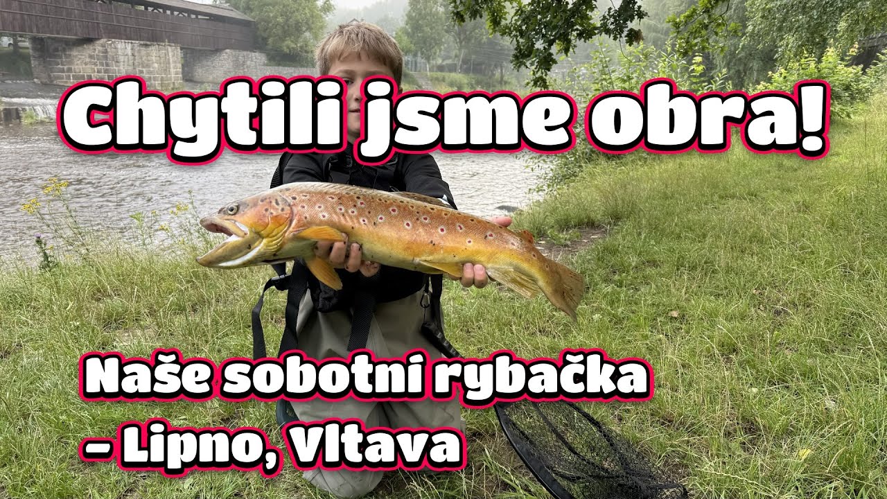 Chytili jsme obrovského pstruha potočního