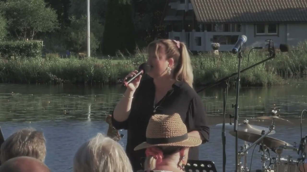 Nu har skogens fåglar tystnat - Heléne Nyberg