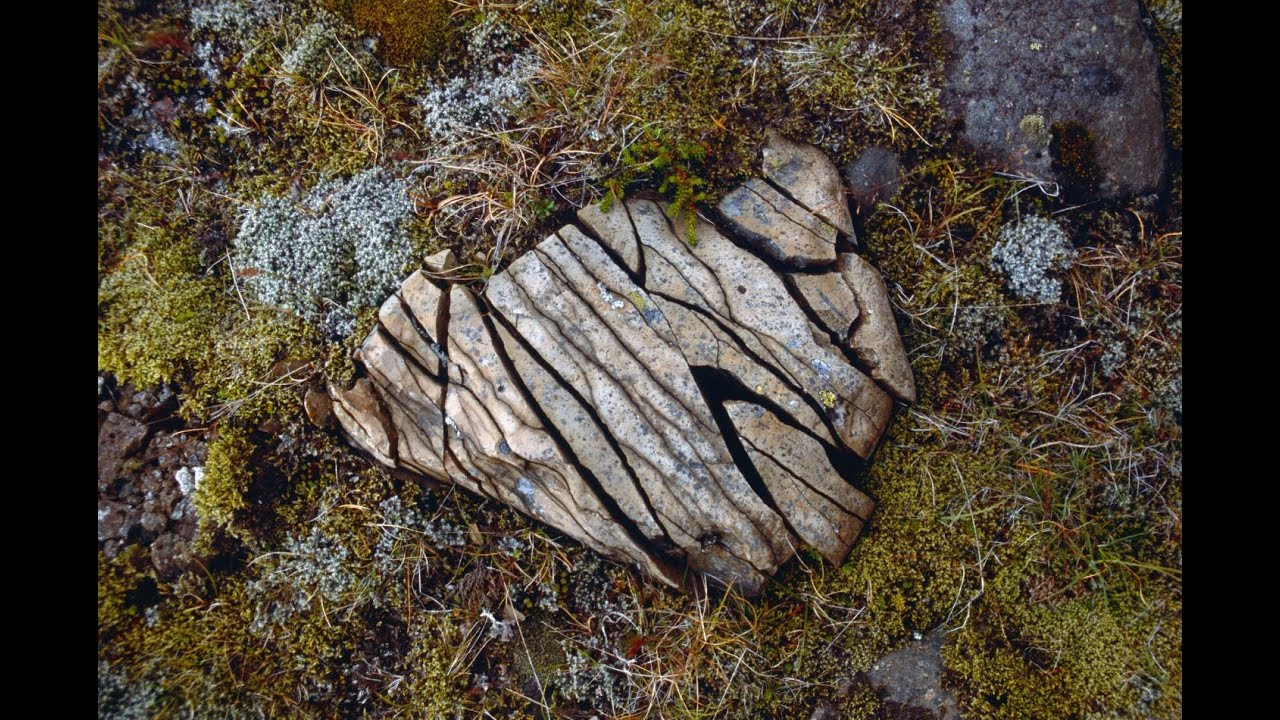 Verdieping: CSE Aardrijkdkunde Havo en VWO - Domein C - Verwering, erosie en sedimentatie