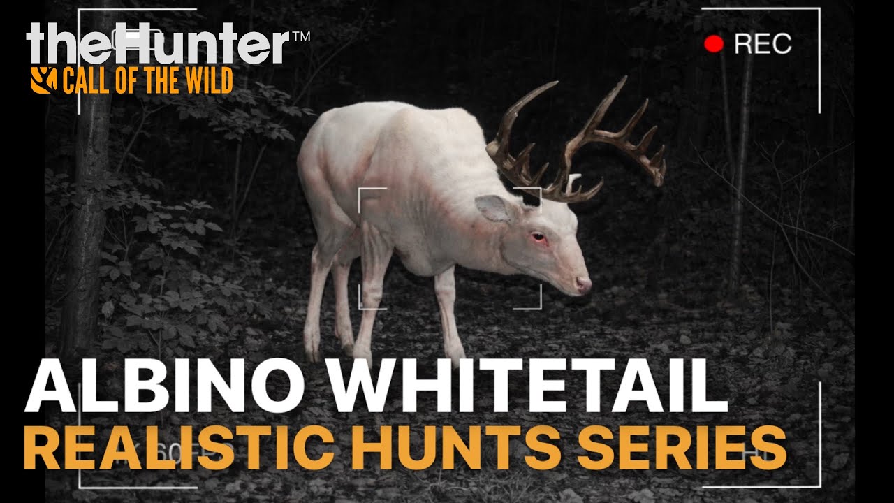 Albino Whitetail Steps Into Range… But It’s Not the Buck I’m Hunting | theHunter: Call of the Wild