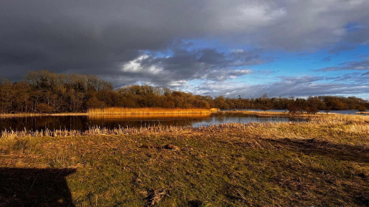 Northern Ireland ,relax walk ,Randalstown Forest
