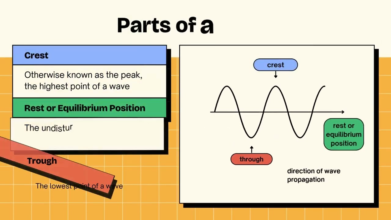 introduction to waves
