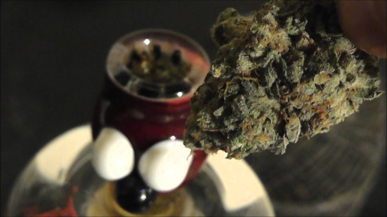 Leisure Glass - Luke Wilson 29 Arm Bubbler