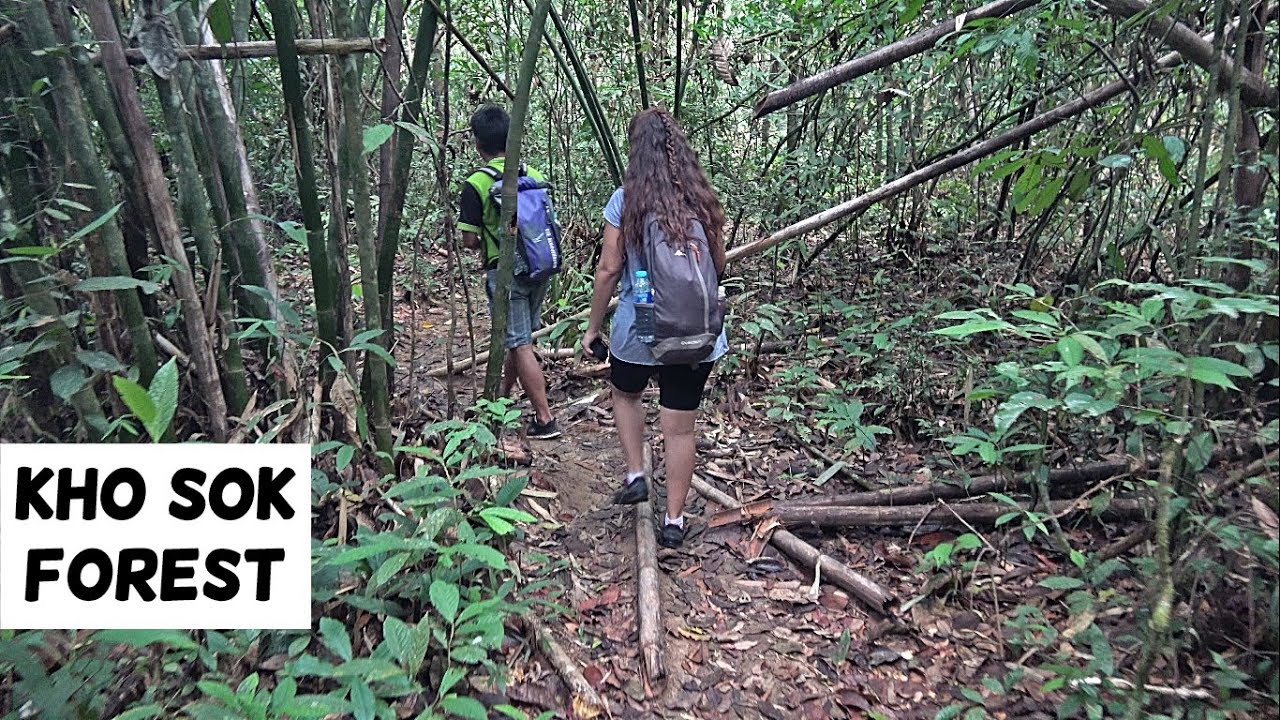 KHAO SOK Forest: trekking y supervivencia en la selva tropical | Tailandia 26# | Sureste Asiático