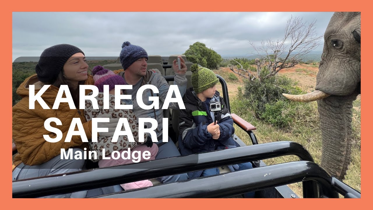 Family Safari: Kariega Main Lodge (South Africa) *BONUS: Rhino conservation procedure