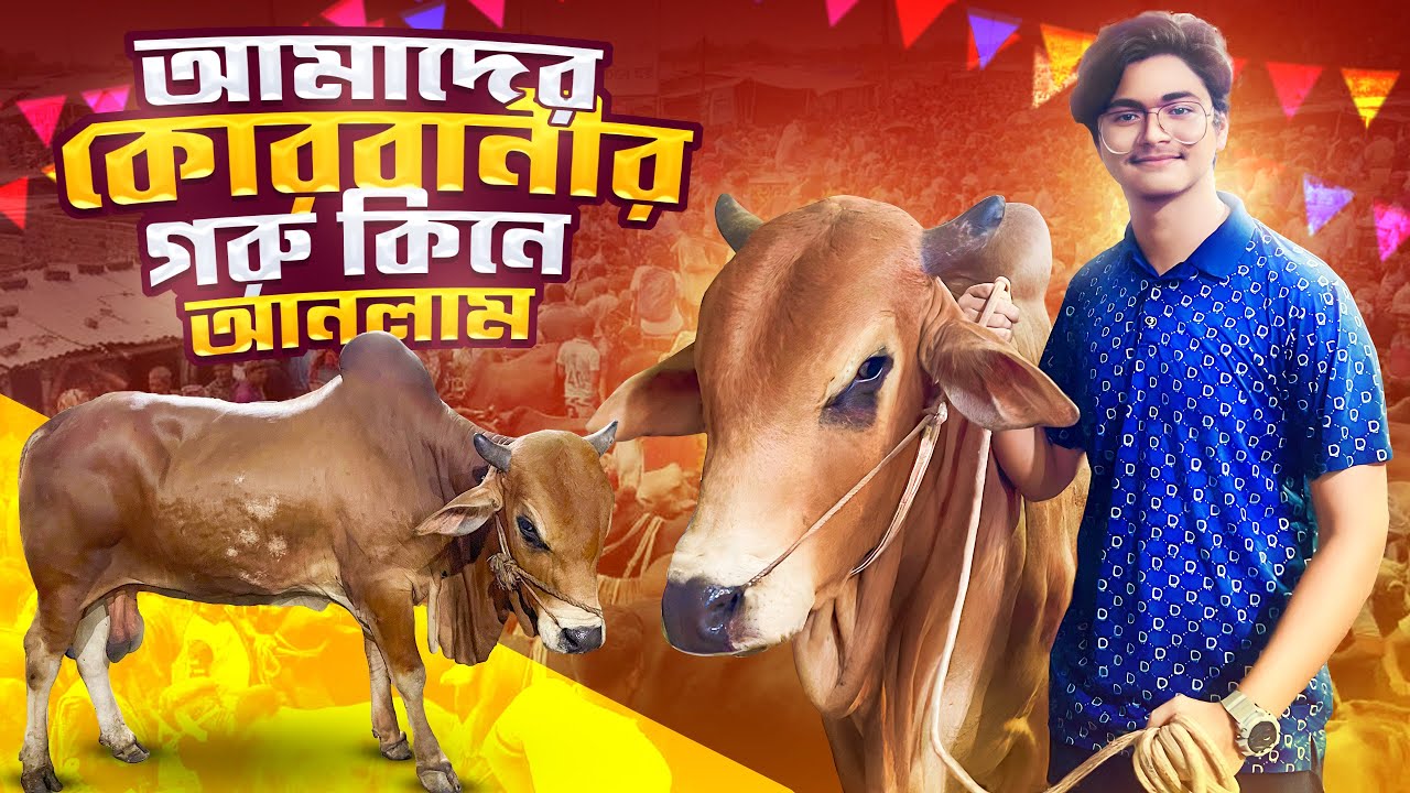 আমাদের কোরবানির গরু কিনে আনলাম | Eid Mubarak |Welcome Leo | Qurbani 2024 | Shafin The Vloger Boy |