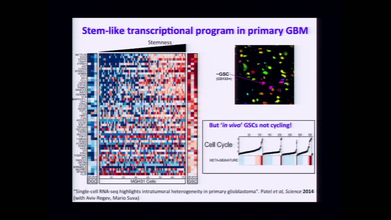 Reconstructing Cancer Stem Cells from Their Chromatin Landscapes - Bradley Bernstein