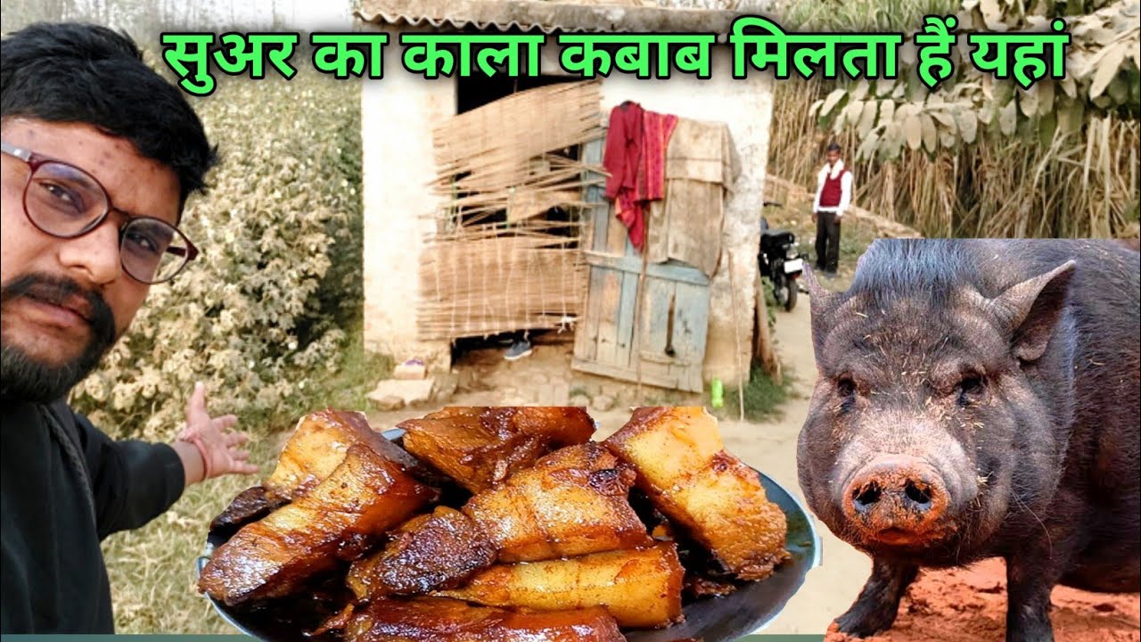 यहां पर सुअर का काला कबाब मिलता हैं || pork black kabab shop sharanpur || eating pig kebab