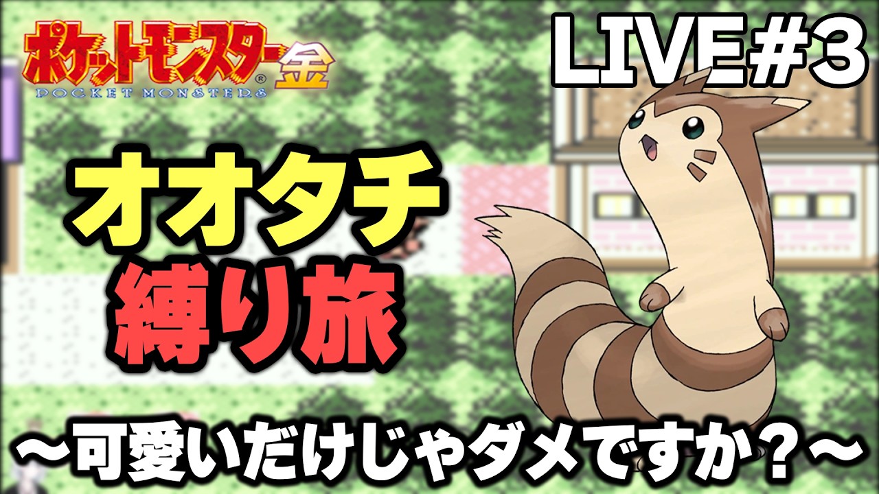【ポケモン金銀】オオタチ縛り旅。可愛いだけじゃダメですか？【生放送part3】