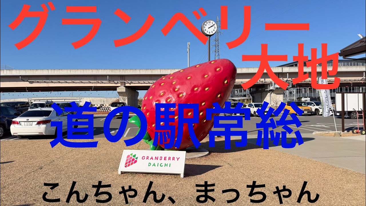 こんちゃん、まっちゃん(道の駅常総、グランベリー大地)2025年12月28日#マルジャック#マルプー#道の駅常総#インディ108#ドックラン
