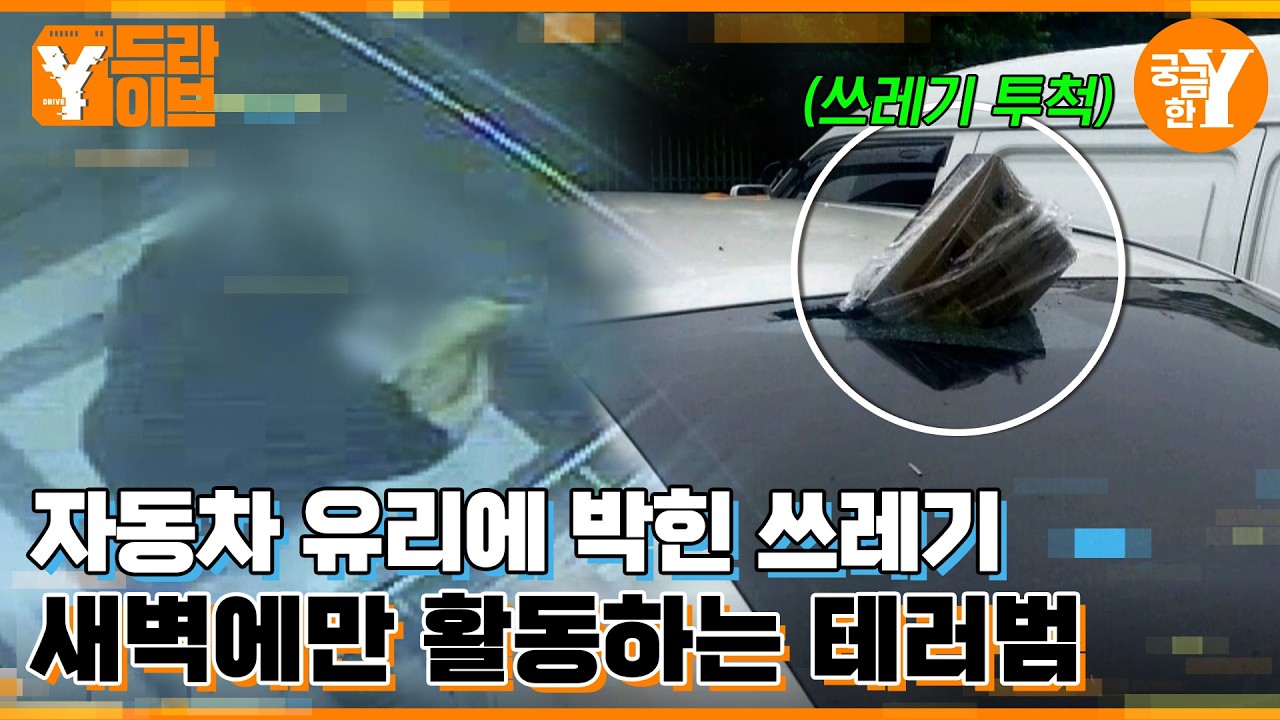 쓰레기 투척범의 정체 | Y드라이브