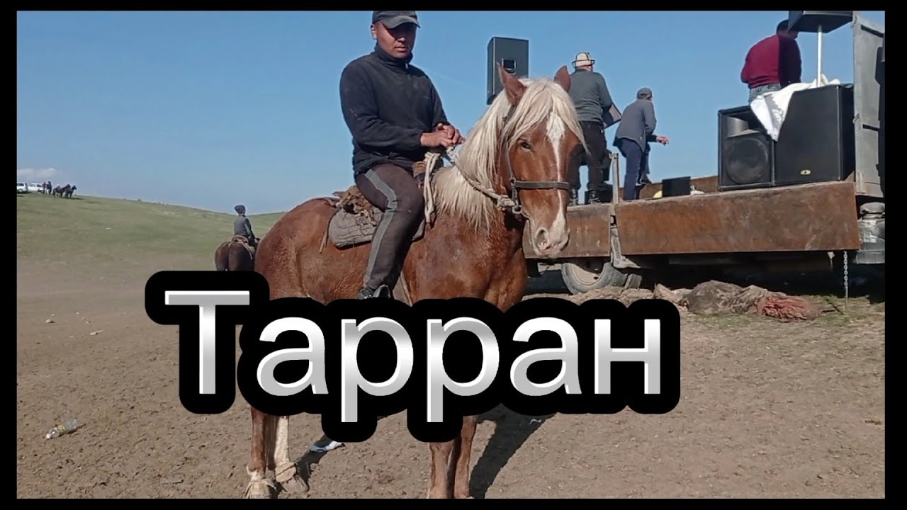 Таран сатылат +996557530253