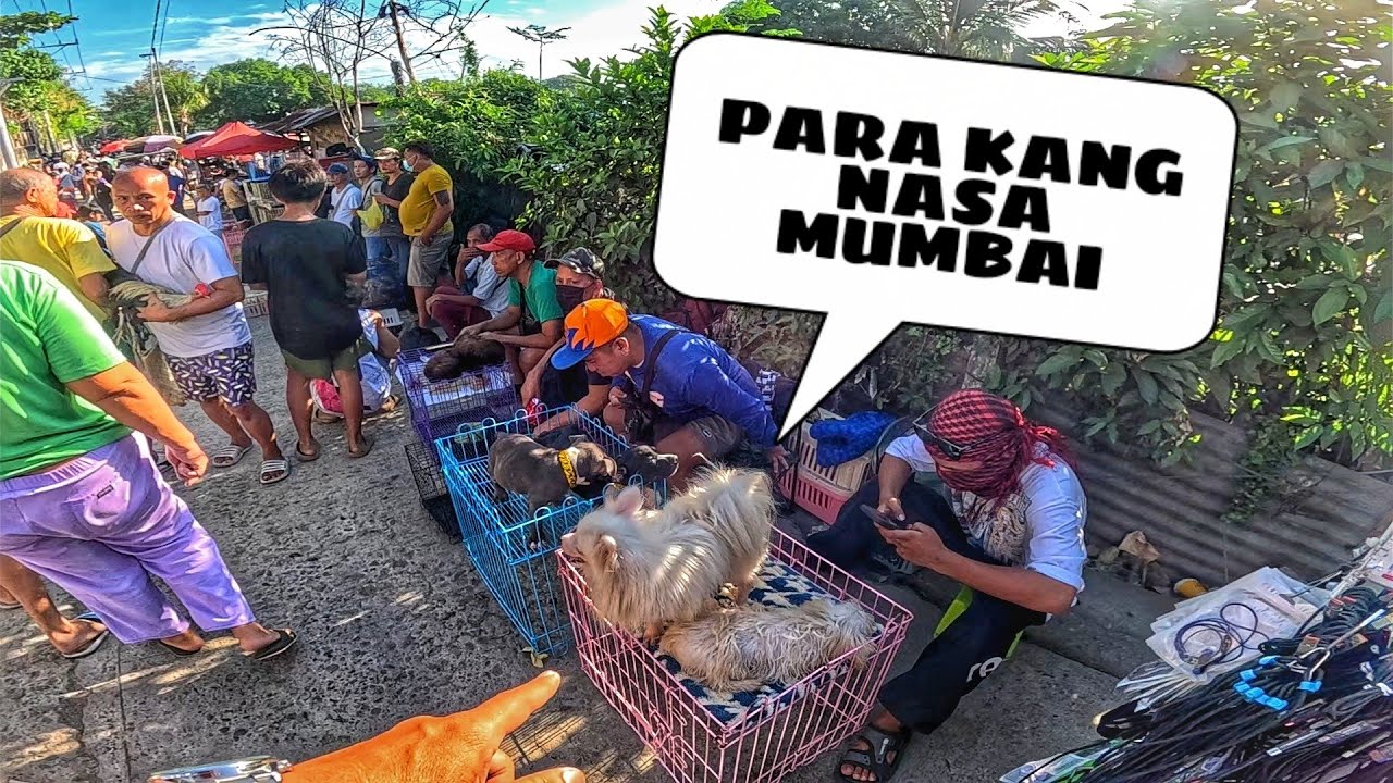 EKSENA SA BOCAUE MAY 16, 2025 | PET TIANGGE