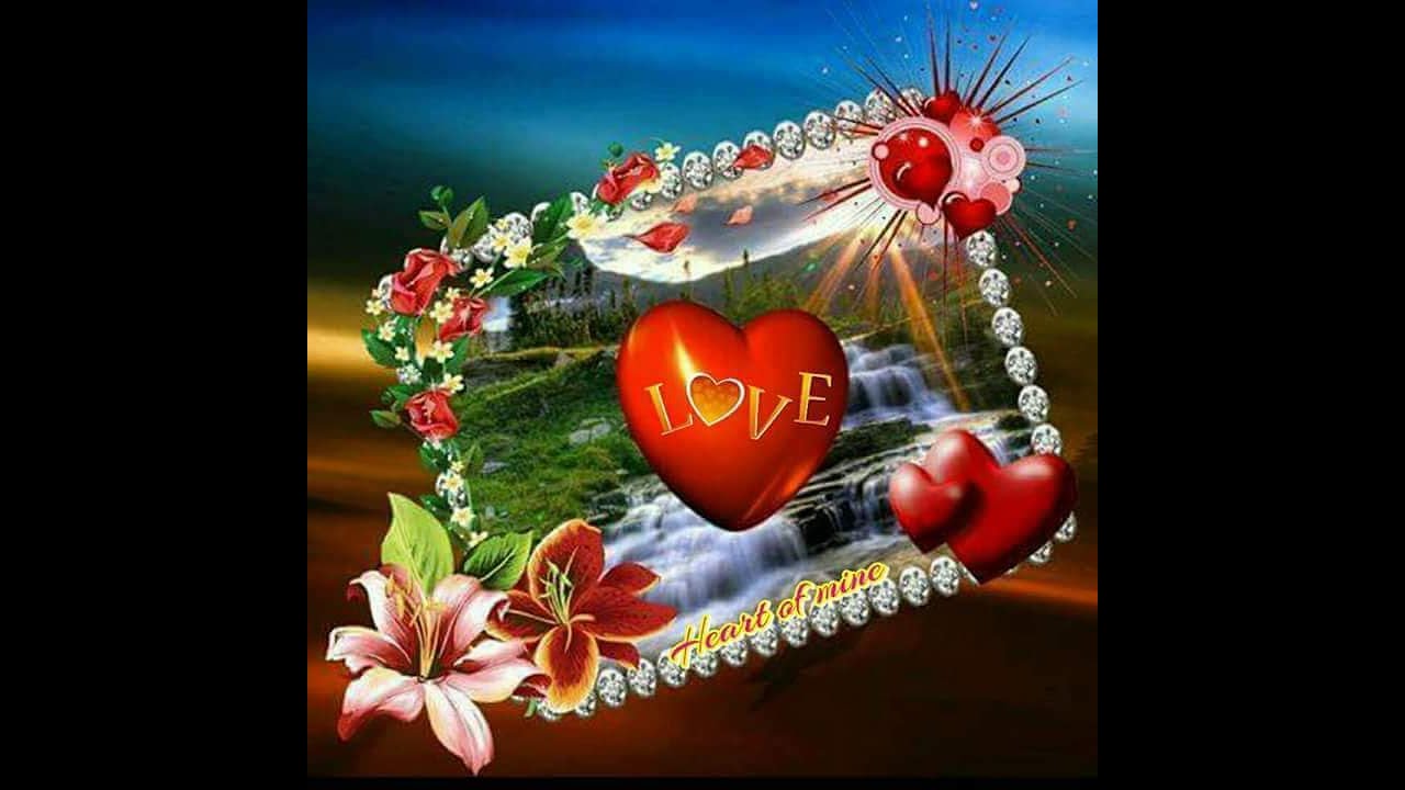 Die Nacht der tausend Rosen****Frans Bauer***