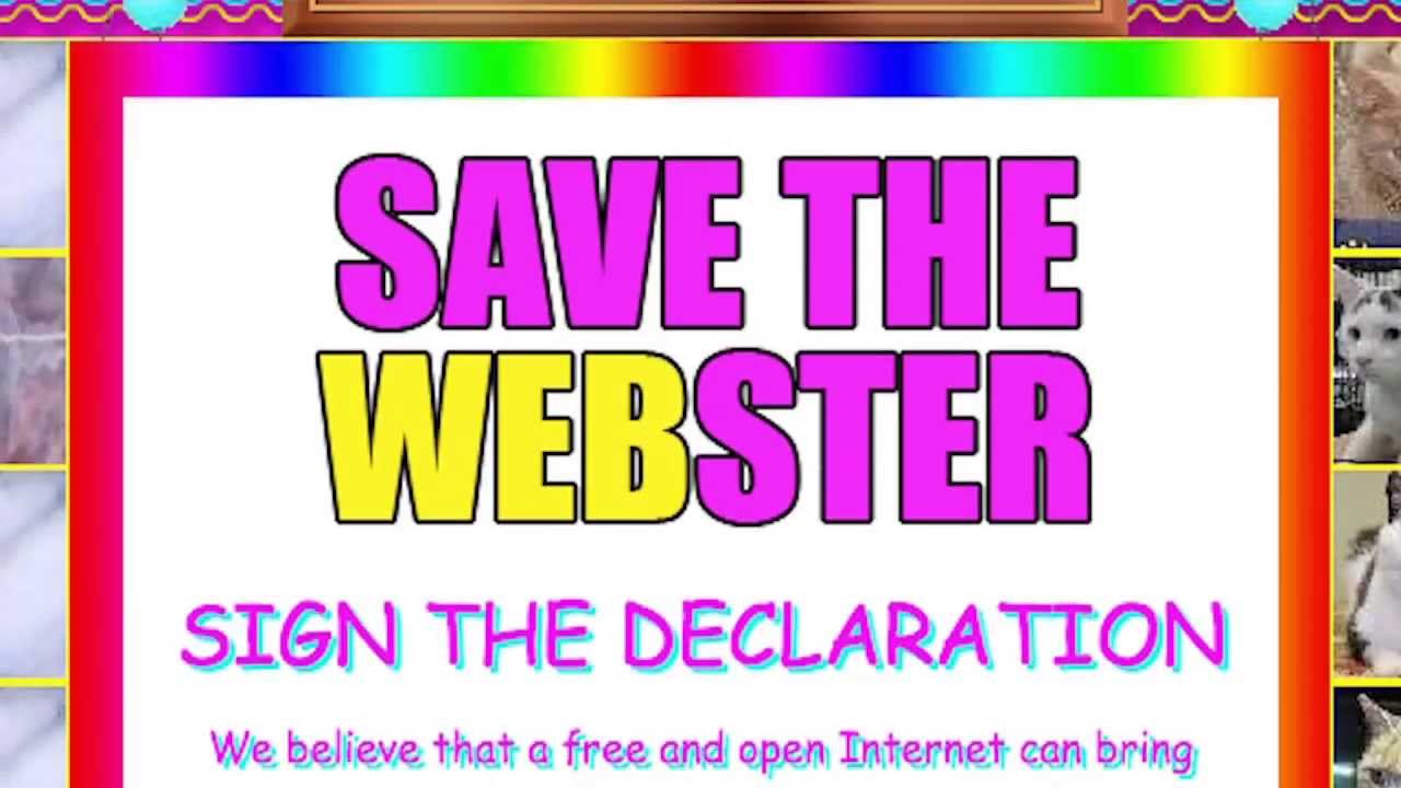 Resn | Save The Kitten