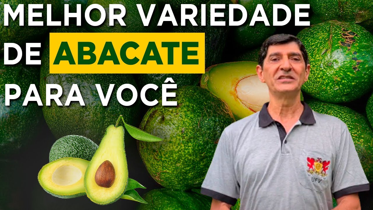 Escolha Certa: Variedades de Abacate para Lucrar no Pomar – Luiz Carlos Chamhum Salomão