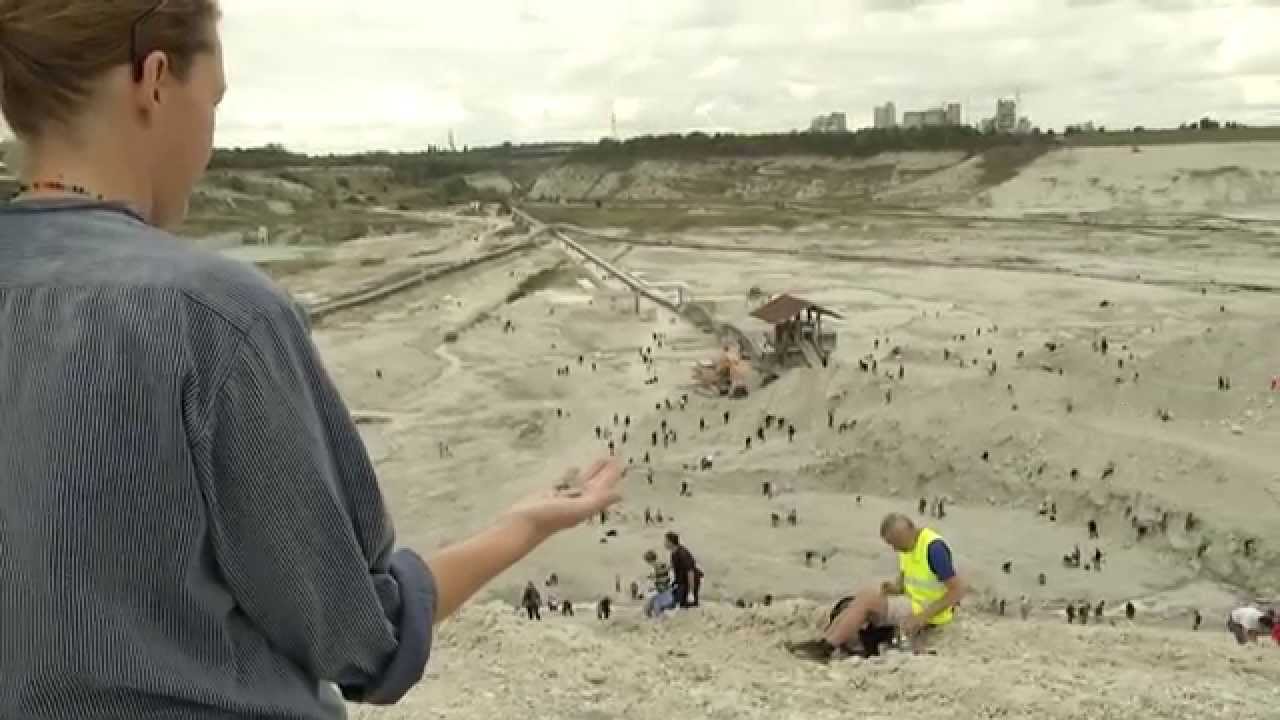 Fossilien finden in der Region Hannover - Auf Entdeckertour in der Mergelgrube Sehnde-Höver