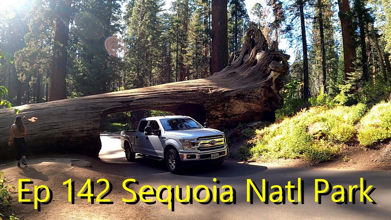 Episode 142 Sequoia National Park