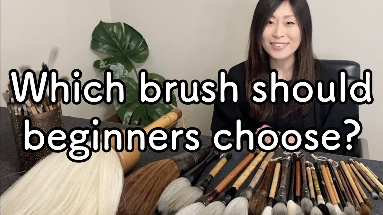 Which brushes should beginners choose? Let's compare different hair and quality brushes!