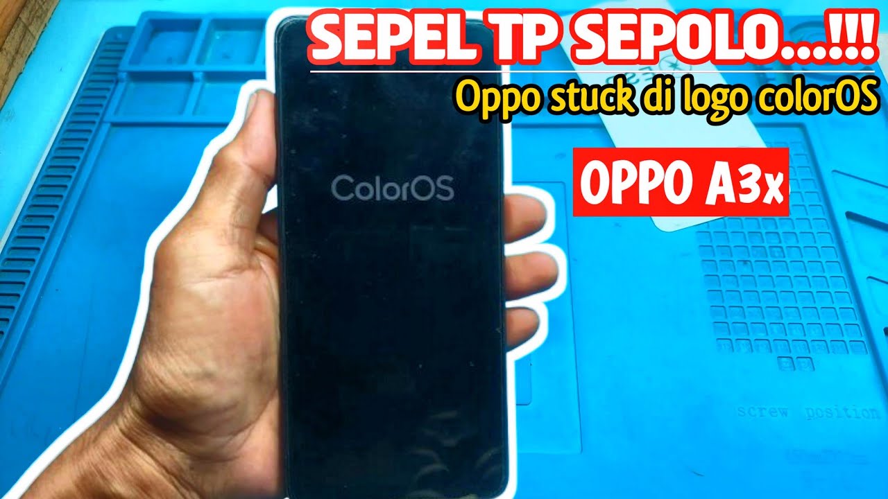Cara mengatasi oppo mentok logo colorOS