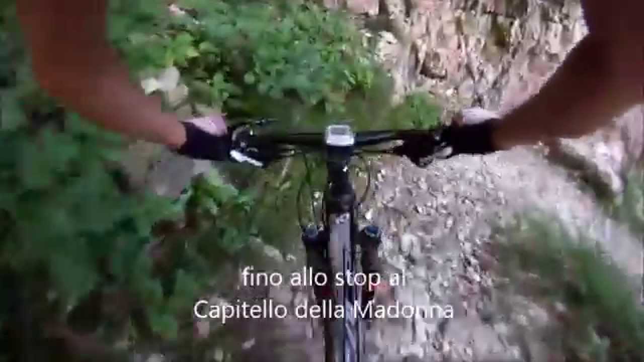 Cima Grappa - Cismon del Grappa - Sentiero 920