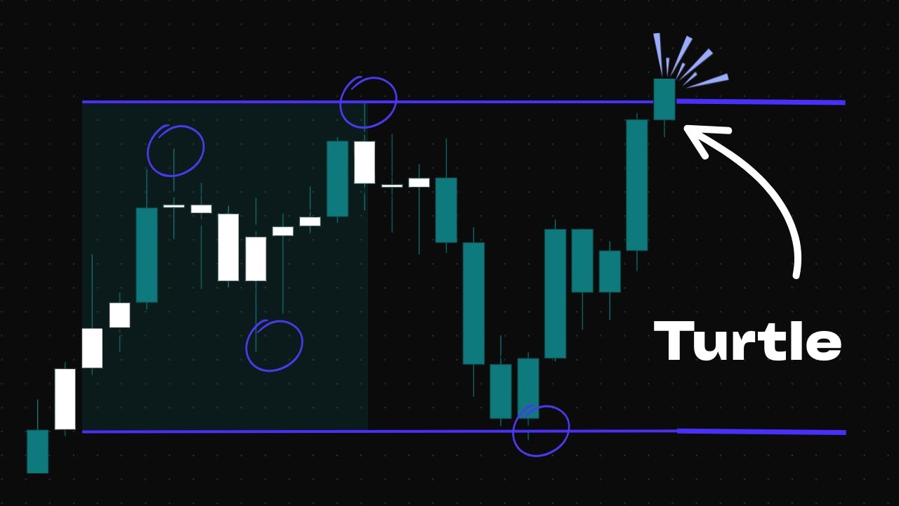 The Turtle Trading Strategy Revealed: How To Trade In 2026