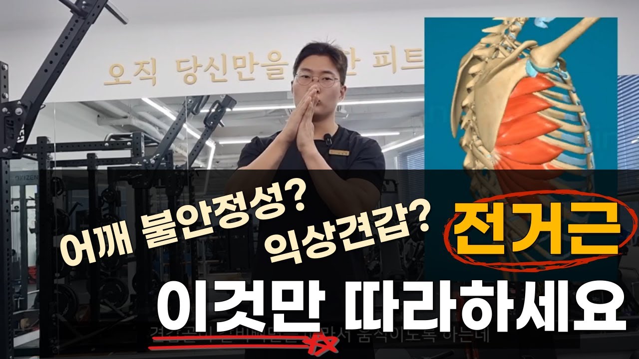 [전거근 운동] 익상견갑? 전거근 운동은 꼭 이걸 따라하세요. 활성부터 강화까지 가장 쉽게 알려드립니다.