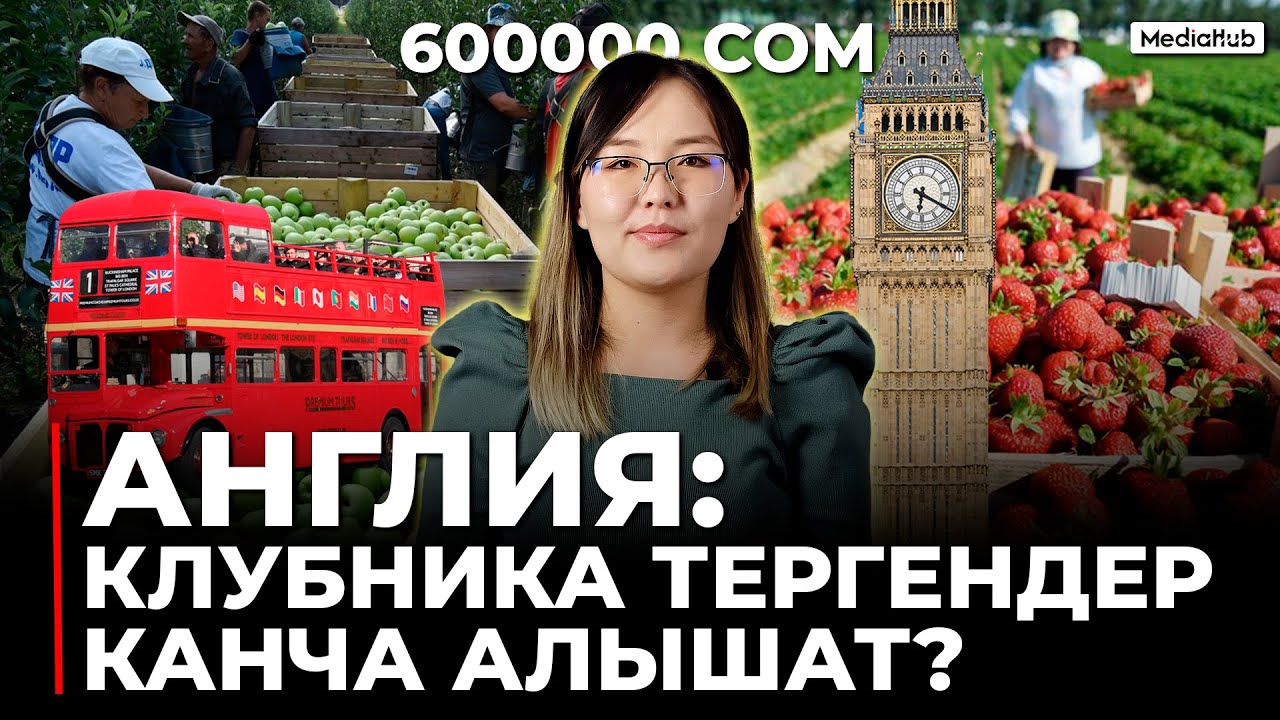 АНГЛИЯ: КЛУБНИКА ТЕРГЕНДЕР КАНЧА АЛАТ?