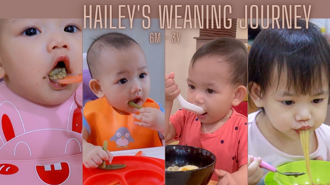 Hailey's Weaning Journey