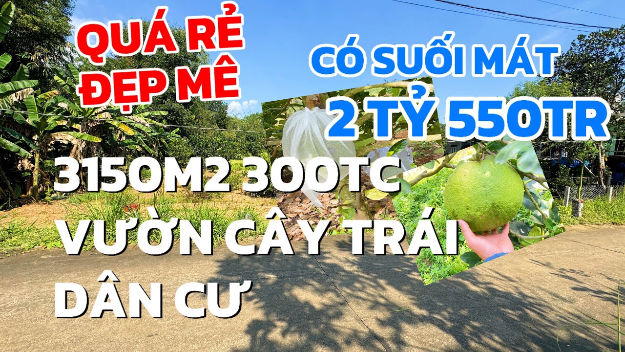Chú Tiến hạ thêm 100tr là cho 3150m2, 300m thổ cư, suối mát, cây trái mê ly ở BRVT