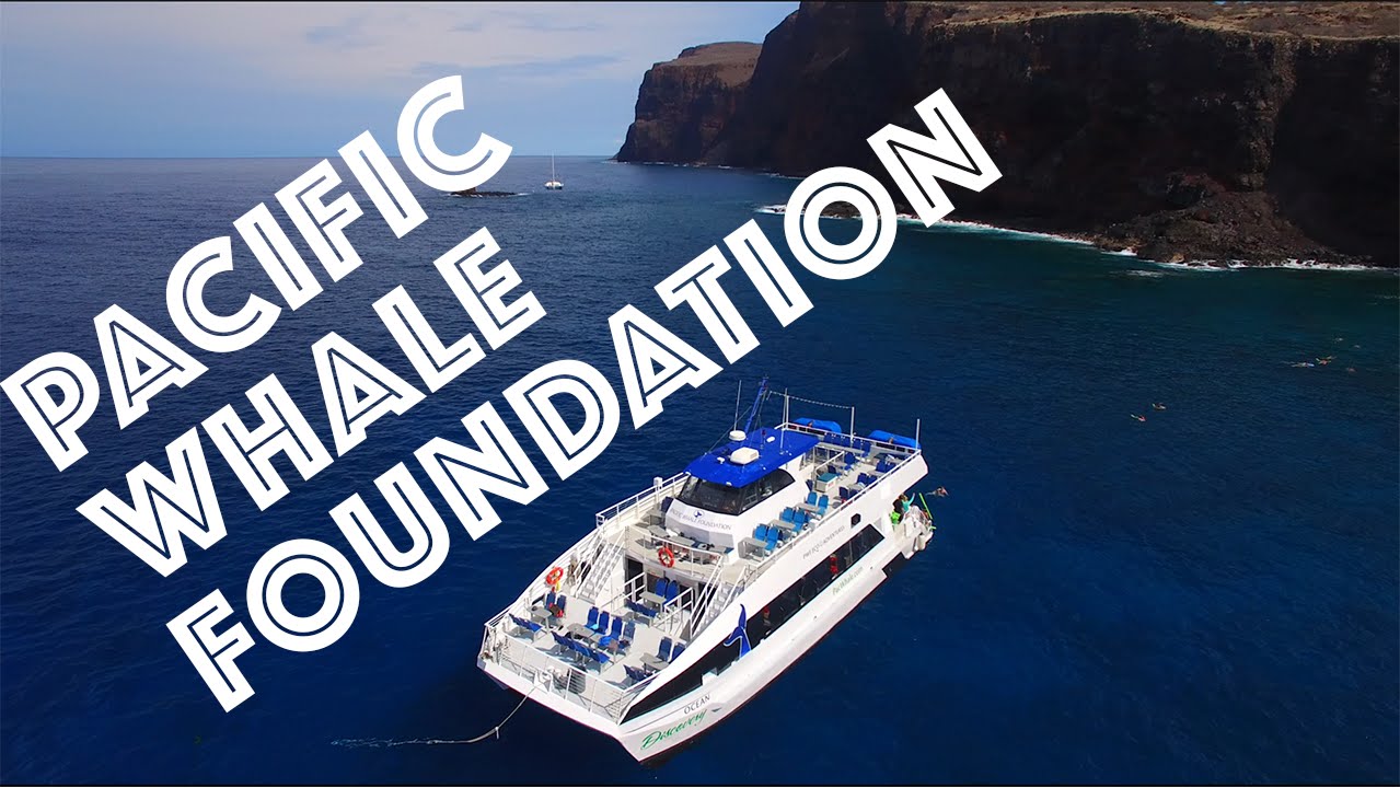 Trekking With Pacific Whale Foundation